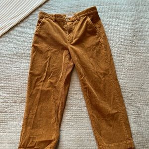 Orange Corduroy Pants (EVERLANE)